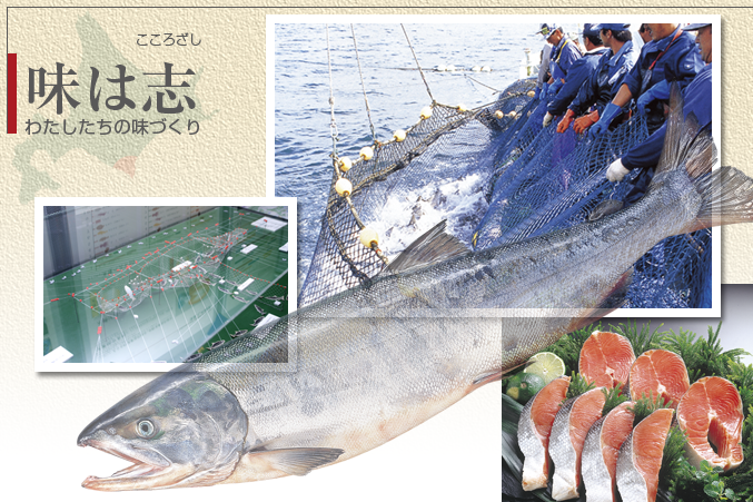 北海道日高沖定置網の秋鮭